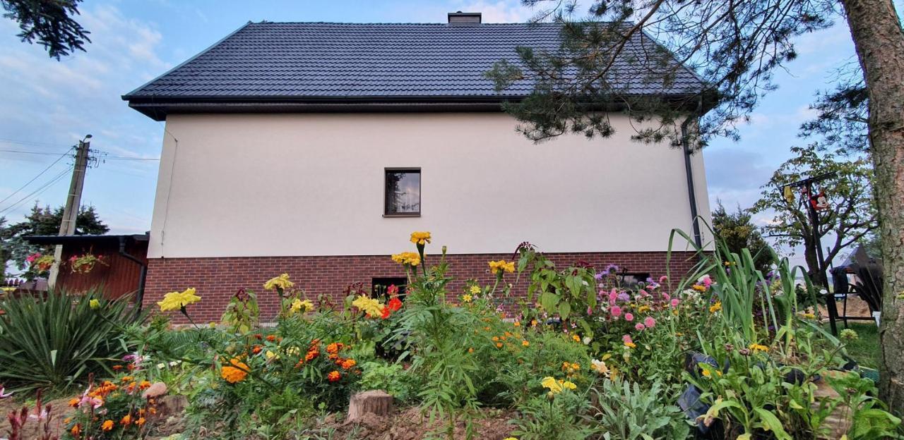 Silence Apartment Szydlowice